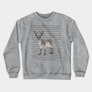 Reindeer Information Crewneck Sweatshirt